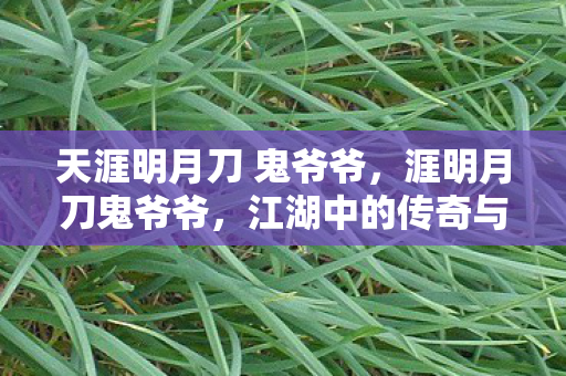 天涯明月刀 鬼爷爷，涯明月刀鬼爷爷，江湖中的传奇与传承