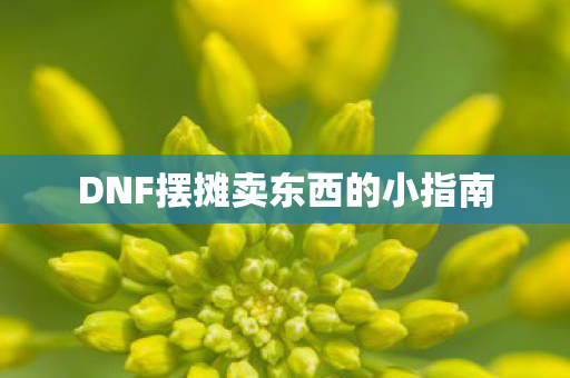 DNF摆摊卖东西的小指南