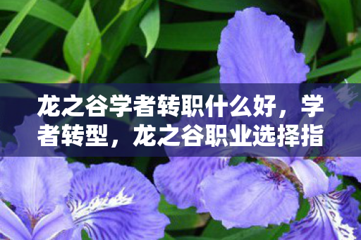 龙之谷学者转职什么好，学者转型，龙之谷职业选择指南