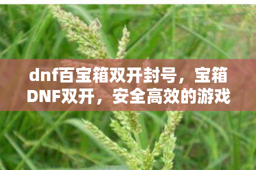 dnf百宝箱双开封号，宝箱DNF双开，安全高效的游戏体验