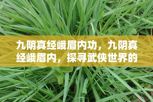 九阴真经峨眉内功，九阴真经峨眉内，探寻武侠世界的神秘门派