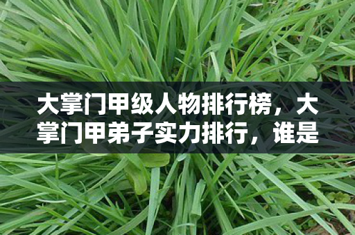 大掌门甲级人物排行榜，大掌门甲弟子实力排行，谁是江湖中的顶尖高手？