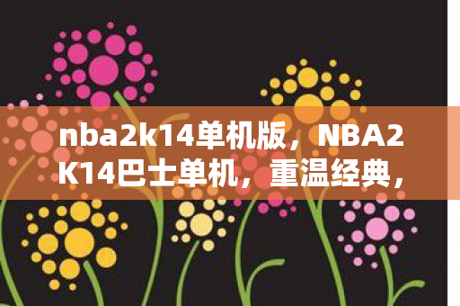 nba2k14单机版,NBA2K14巴士单机,重温经典,尽享篮球盛宴 nba2k14单机版,NBA2K14巴士单机,重温经典,尽享篮球盛宴