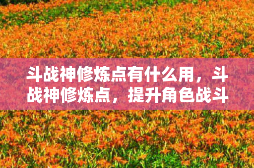 斗战神修炼点有什么用，斗战神修炼点，提升角色战斗力的关键要素