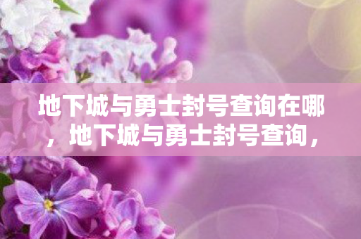 地下城与勇士封号查询在哪，地下城与勇士封号查询，如何安全、有效地查询账号状态