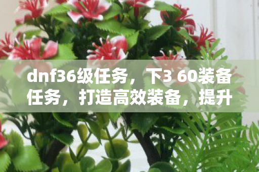 dnf36级任务，下3 60装备任务，打造高效装备，提升游戏实力