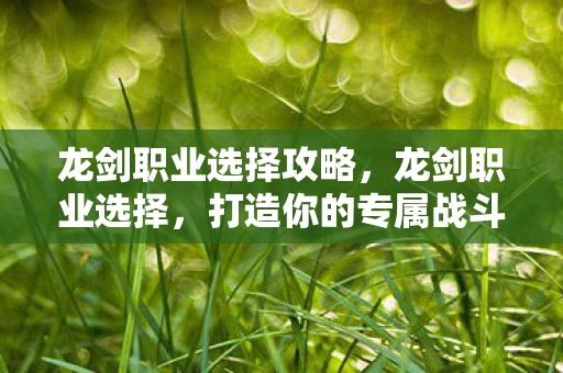 龙剑职业选择攻略,龙剑职业选择,打造你的专属战斗风格 龙剑职业选择攻略,龙剑职业选择,打造你的专属战斗风格