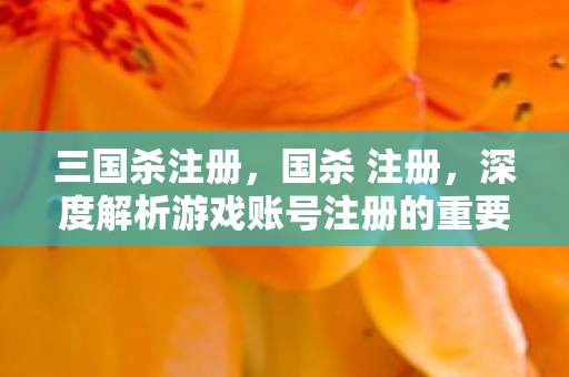 三国杀注册，国杀 注册，深度解析游戏账号注册的重要性与安全性
