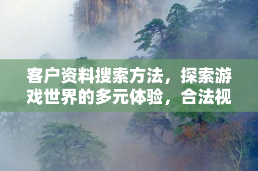 客户资料搜索方法,探索游戏世界的多元体验,合法视角下的游戏私服与官方服务对比 客户资料搜索方法,探索游戏世界的多元体验,合法视角下的游戏私服与官方服务对比