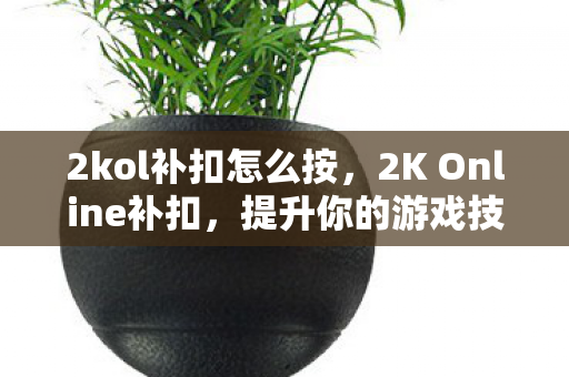 2kol补扣怎么按,2K Online补扣,提升你的游戏技巧与体验 2kol补扣怎么按,2K Online补扣,提升你的游戏技巧与体验