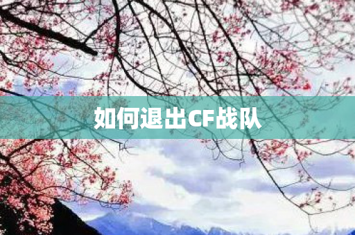 如何退出CF战队