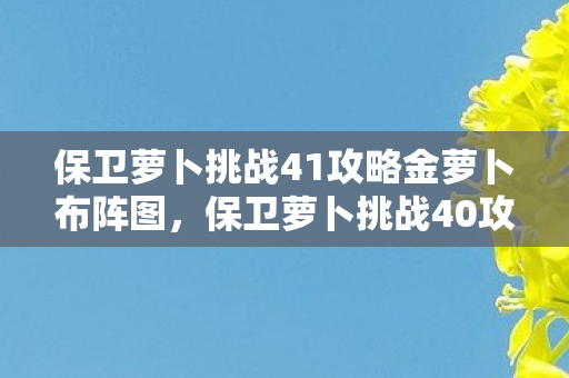 保卫萝卜挑战41攻略金萝卜布阵图,保卫萝卜挑战40攻略金萝卜布阵图 保卫萝卜挑战41攻略金萝卜布阵图,保卫萝卜挑战40攻略金萝卜布阵图