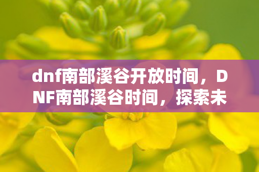 dnf南部溪谷开放时间,DNF南部溪谷时间,探索未知,挑战极限 dnf南部溪谷开放时间,DNF南部溪谷时间,探索未知,挑战极限