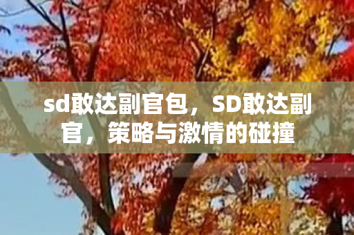 sd敢达副官包，SD敢达副官，策略与激情的碰撞
