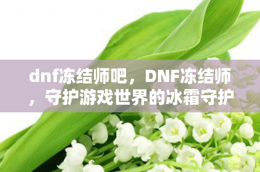 dnf冻结师吧，DNF冻结师，守护游戏世界的冰霜守护者