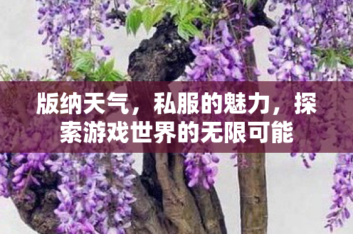 版纳天气，私服的魅力，探索游戏世界的无限可能