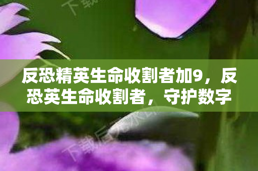 反恐精英生命收割者加9，反恐英生命收割者，守护数字世界的正义力量