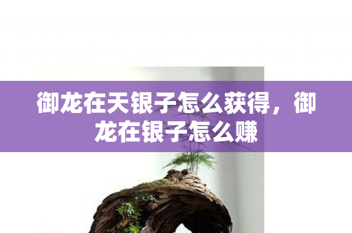 御龙在天银子怎么获得，御龙在银子怎么赚