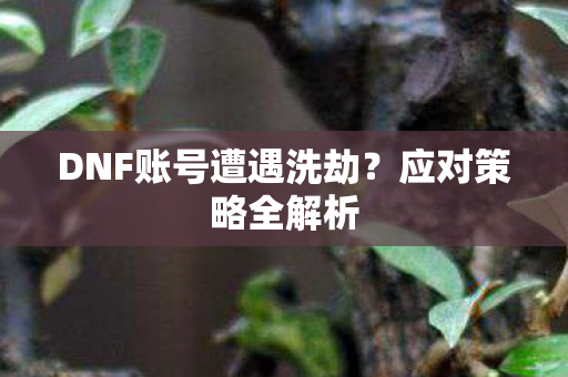 DNF账号遭遇洗劫？应对策略全解析