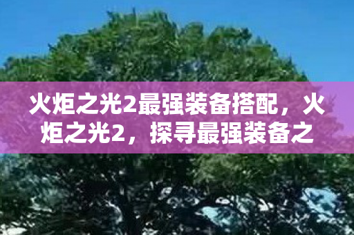 火炬之光2最强装备搭配,火炬之光2,探寻最强装备之路 火炬之光2最强装备搭配,火炬之光2,探寻最强装备之路