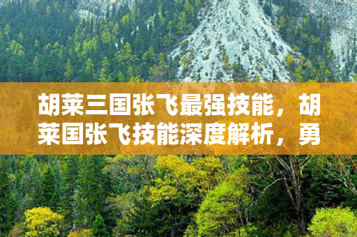 胡莱三国张飞最强技能,胡莱国张飞技能深度解析,勇猛与智谋的完美结合 胡莱三国张飞最强技能,胡莱国张飞技能深度解析,勇猛与智谋的完美结合