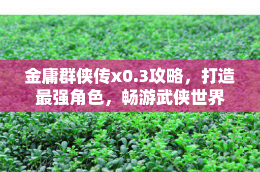 金庸群侠传x0.3攻略，打造最强角色，畅游武侠世界