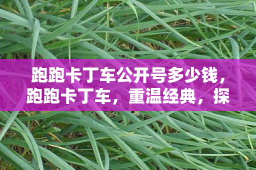 跑跑卡丁车公开号多少钱，跑跑卡丁车，重温经典，探索无限可能