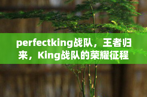 perfectking战队,王者归来,King战队的荣耀征程 perfectking战队,王者归来,King战队的荣耀征程