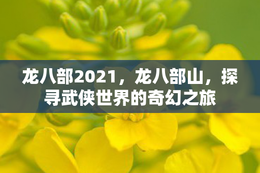 龙八部2021,龙八部山,探寻武侠世界的奇幻之旅 龙八部2021,龙八部山,探寻武侠世界的奇幻之旅