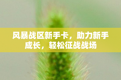 风暴战区新手卡，助力新手成长，轻松征战战场