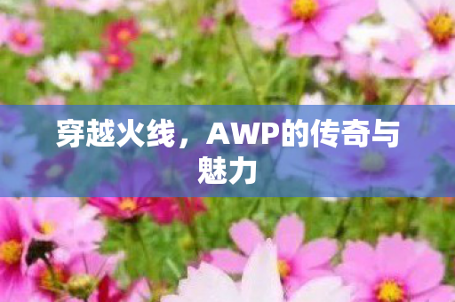 穿越火线，AWP的传奇与魅力