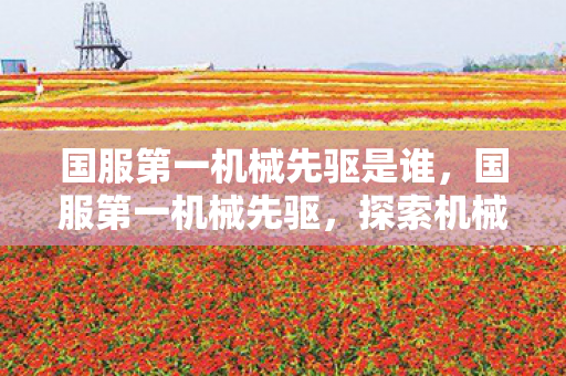 国服第一机械先驱是谁，国服第一机械先驱，探索机械先驱的极致之路