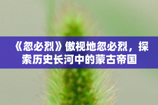 《忽必烈》傲视地忽必烈，探索历史长河中的蒙古帝国