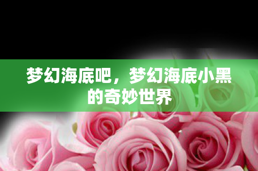 梦幻海底吧,梦幻海底小黑的奇妙世界 梦幻海底吧,梦幻海底小黑的奇妙世界