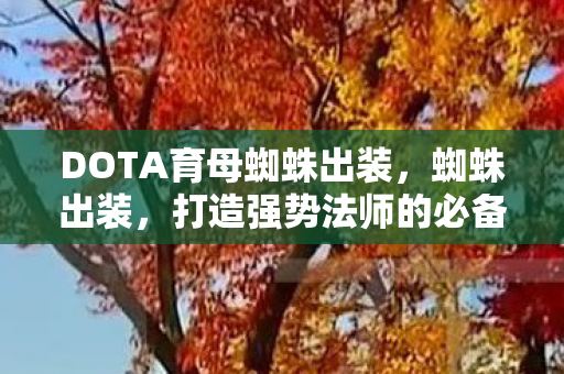 DOTA育母蜘蛛出装，蜘蛛出装，打造强势法师的必备装备指南