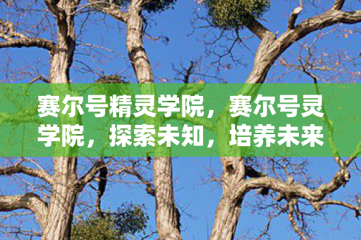 赛尔号精灵学院，赛尔号灵学院，探索未知，培养未来之星