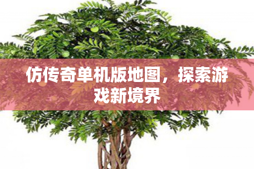仿传奇单机版地图,探索游戏新境界 仿传奇单机版地图,探索游戏新境界