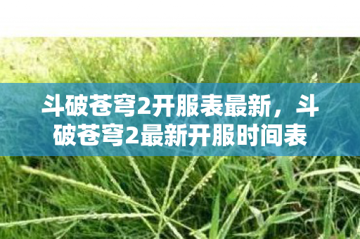 斗破苍穹2开服表最新,斗破苍穹2最新开服时间表 斗破苍穹2开服表最新,斗破苍穹2最新开服时间表