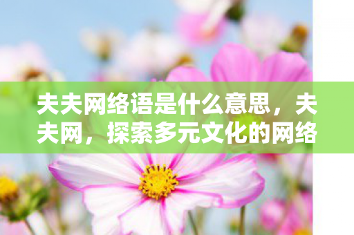 夫夫网络语是什么意思,夫夫网,探索多元文化的网络社群 夫夫网络语是什么意思,夫夫网,探索多元文化的网络社群