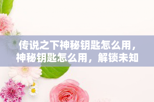 传说之下神秘钥匙怎么用，神秘钥匙怎么用，解锁未知世界的奇妙之旅