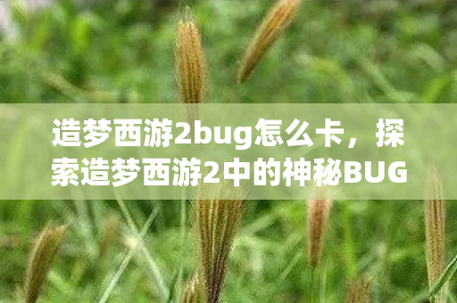 造梦西游2bug怎么卡,探索造梦西游2中的神秘BUG,挑战与机遇并存 造梦西游2bug怎么卡,探索造梦西游2中的神秘BUG,挑战与机遇并存