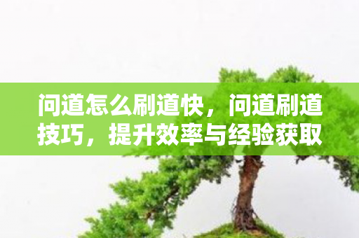 问道怎么刷道快，问道刷道技巧，提升效率与经验获取