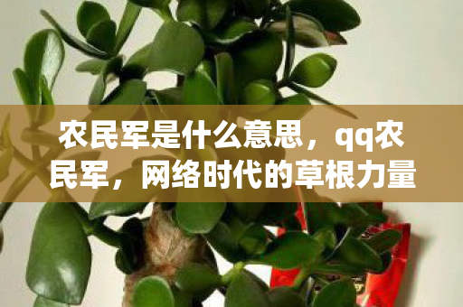 农民军是什么意思,qq农民军,网络时代的草根力量 农民军是什么意思,qq农民军,网络时代的草根力量