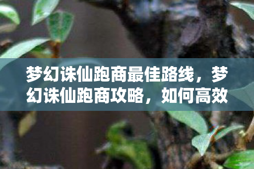 梦幻诛仙跑商最佳路线,梦幻诛仙跑商攻略,如何高效赚取金币与物品 梦幻诛仙跑商最佳路线,梦幻诛仙跑商攻略,如何高效赚取金币与物品