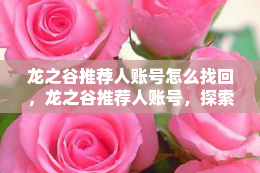 龙之谷推荐人账号怎么找回，龙之谷推荐人账号，探索官方授权的精彩世界