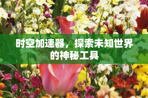 时空加速器,探索未知世界的神秘工具 时空加速器,探索未知世界的神秘工具