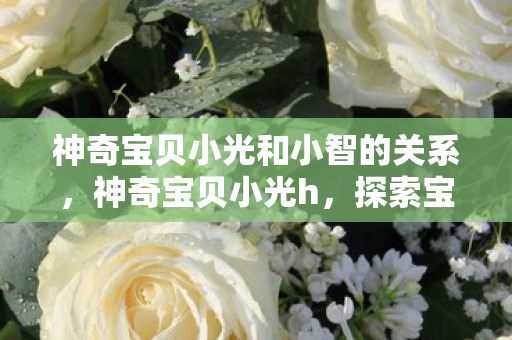 神奇宝贝小光和小智的关系,神奇宝贝小光h,探索宝可梦世界的奇妙旅程 神奇宝贝小光和小智的关系,神奇宝贝小光h,探索宝可梦世界的奇妙旅程