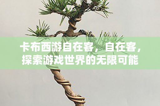 卡布西游自在客，自在客，探索游戏世界的无限可能