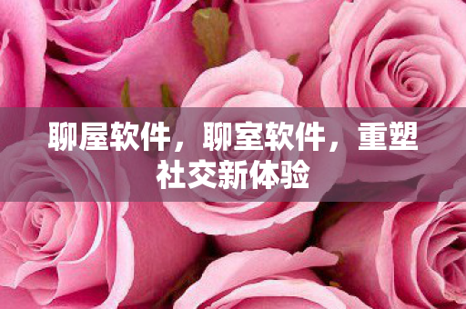 聊屋软件，聊室软件，重塑社交新体验