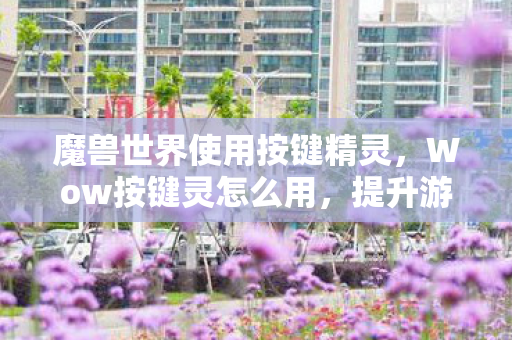 魔兽世界使用按键精灵，Wow按键灵怎么用，提升游戏操作效率的小技巧
